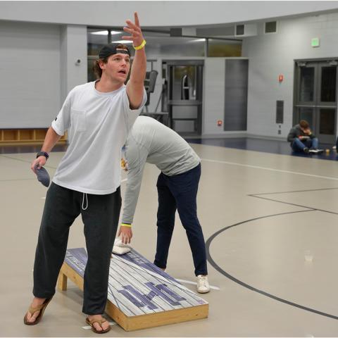 Indoor Lawn Games