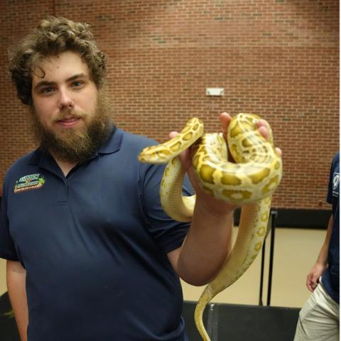 man holding a yellow snake