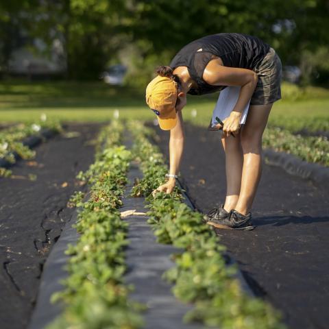 student at Woodman Farm